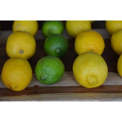 Energy Supplement Lemon Lime Default Title