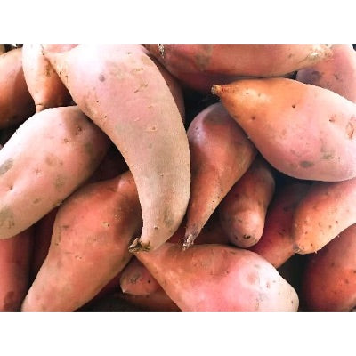 Organic Sweet Potato Medium Default Title