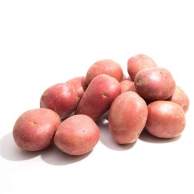 Organic Potato Red 5 Lb Default Title