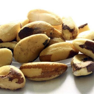 Brazil Nut Unblanched Med Default Title